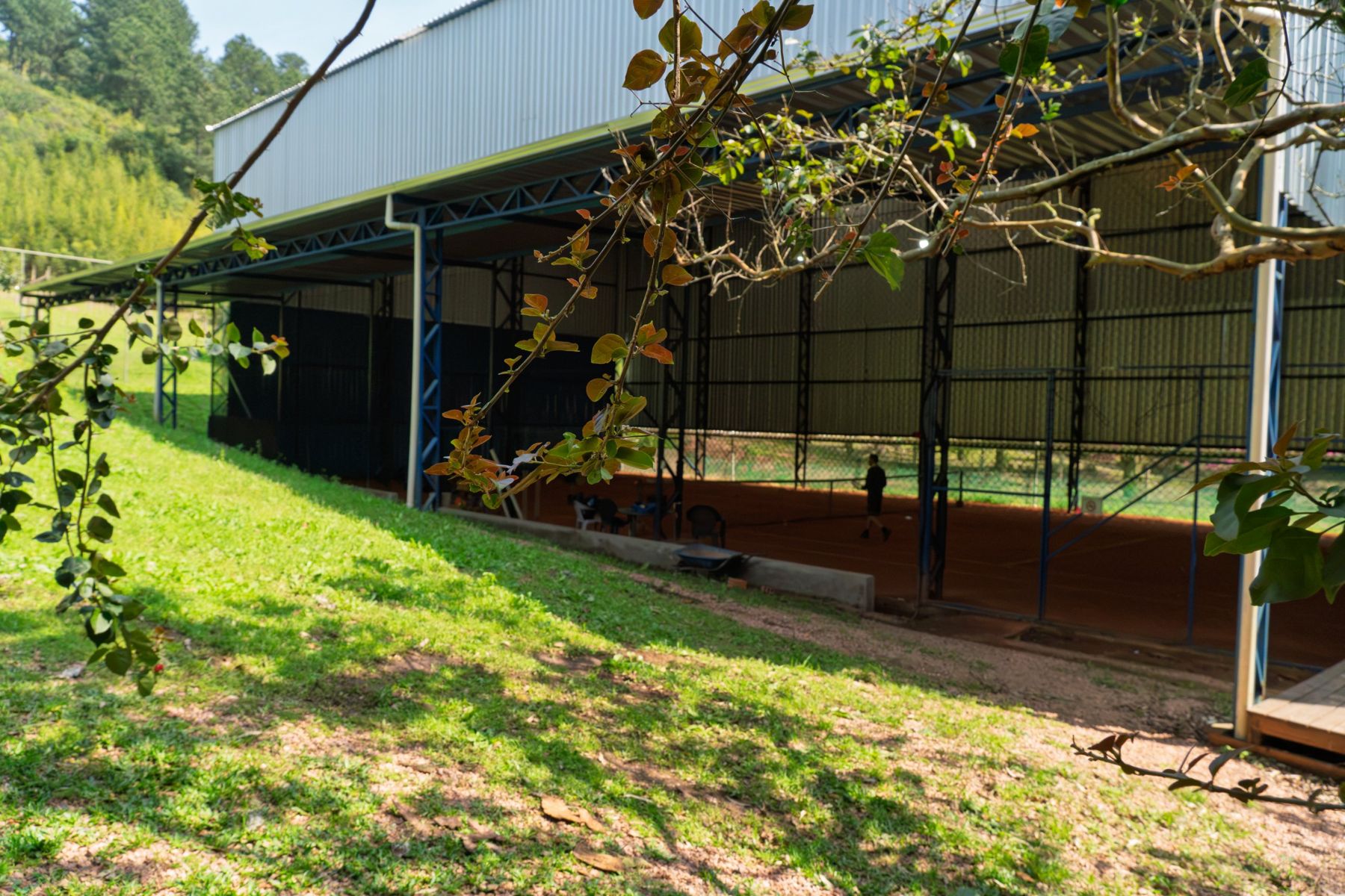 A quadra coberta vista de fora, com o verde em volta